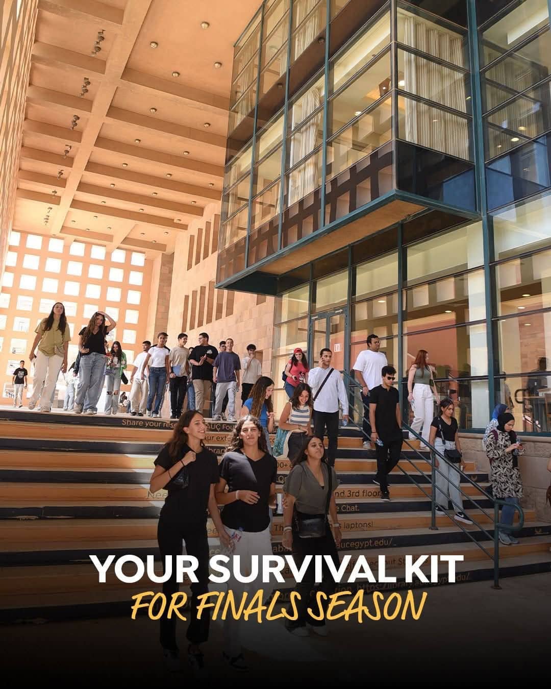 كل م يتعلق بالدراسة في مصر